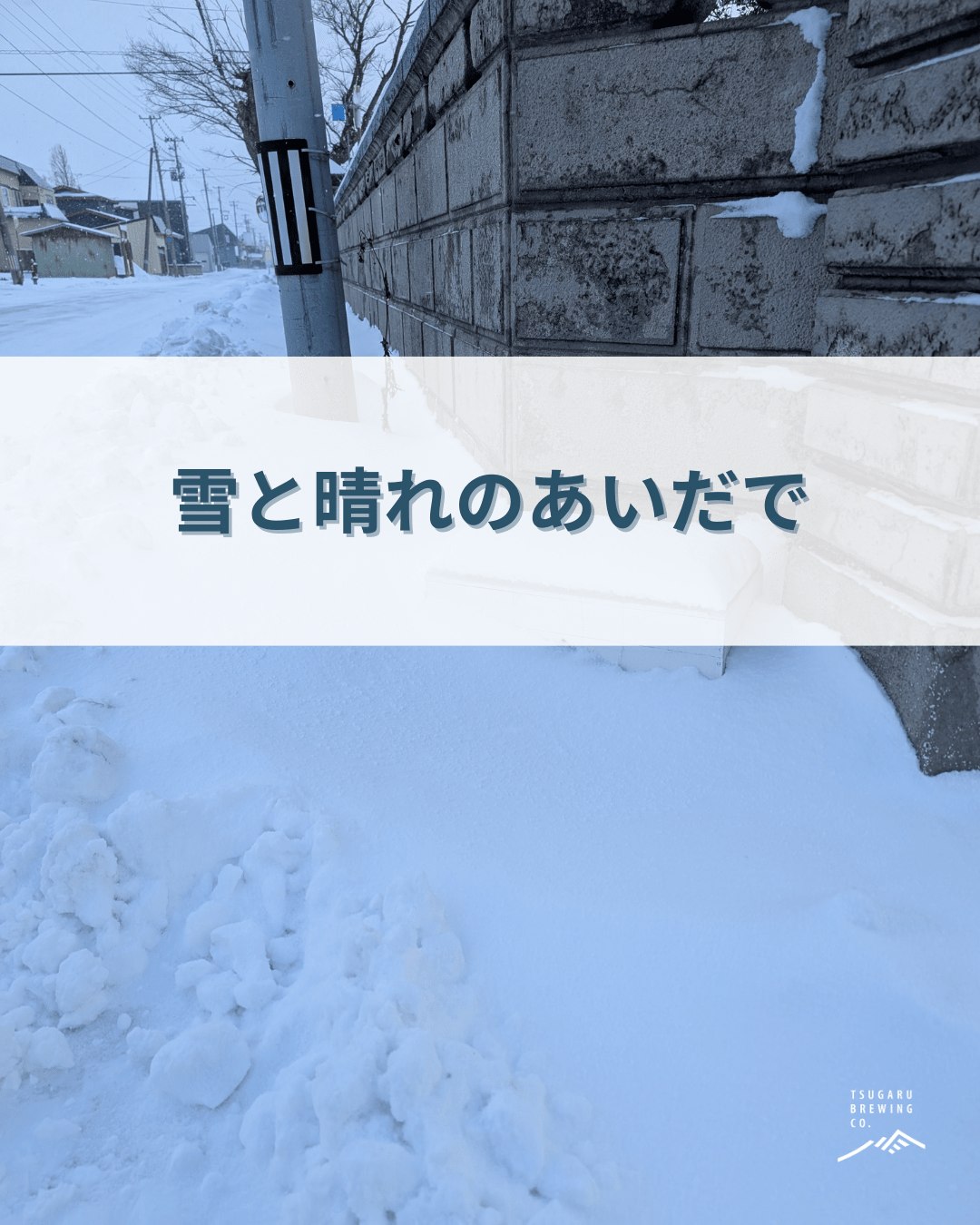雪と晴れのあいだで❄️☀️ - 津軽醸造｜Tsugaru Brewing