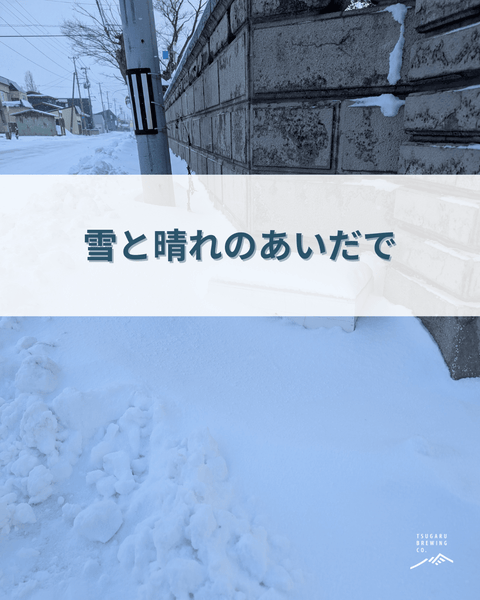 雪と晴れのあいだで❄️☀️ - 津軽醸造｜Tsugaru Brewing