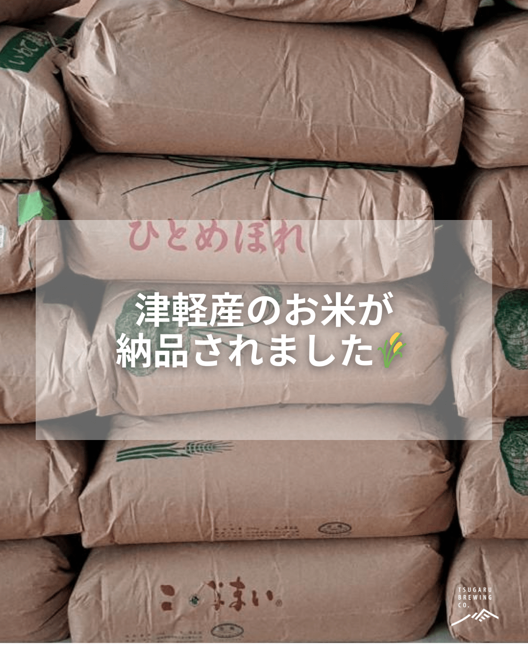 津軽産おこめ、準備が始まっています🌾 - 津軽醸造｜Tsugaru Brewing