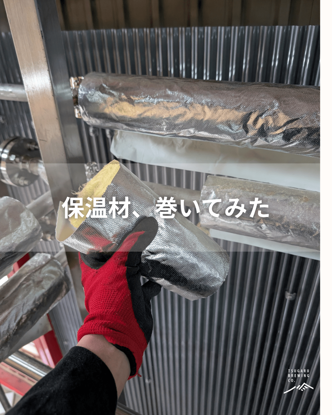 【直線は僕、曲がり角はプロ】 - 津軽醸造｜Tsugaru Brewing